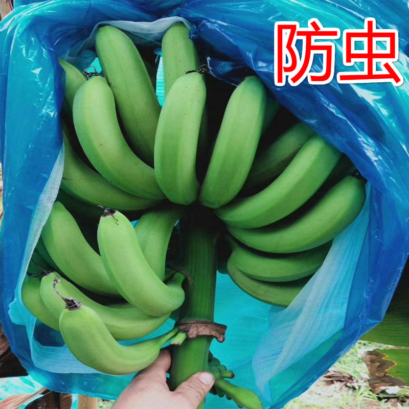 香蕉一体套袋防寒 香蕉套袋专用袋 香蕉袋香蕉套袋杆香蕉套袋神器
