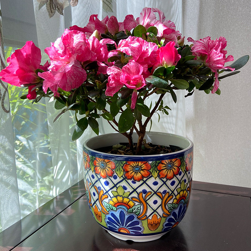 特色陶瓷水培花盆 花盆绿植鲜花套盆无孔 桌面阳台摆件装饰套三