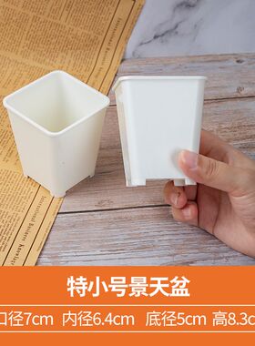 小白方多肉花盆塑料小黑方景天7方盆加厚小号高盆植物叶插育苗盆