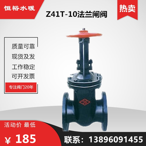 闸阀Z41T-16/10铸铁法兰铜芯明杆排污水泵总阀DN100