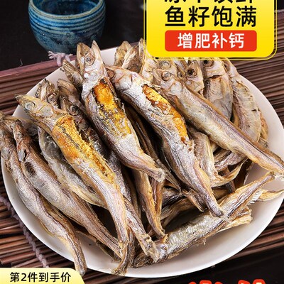 多春鱼冻干小鱼干猫零食猫咪磨牙猫幼猫营养增肥发腮补钙宠物用品