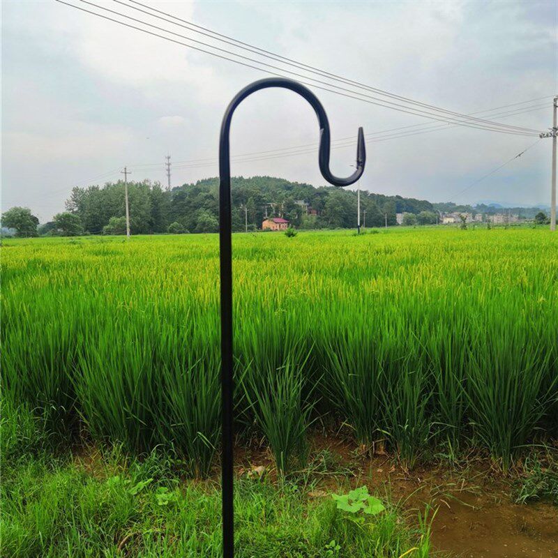 SHANGPIN 铁艺地插挂钩 园艺花插