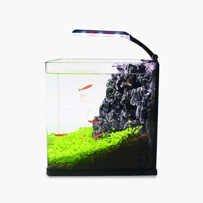 桌面鱼缸生态水草缸客厅家用装饰水族箱造景迷你小型小鱼缸乌龟缸