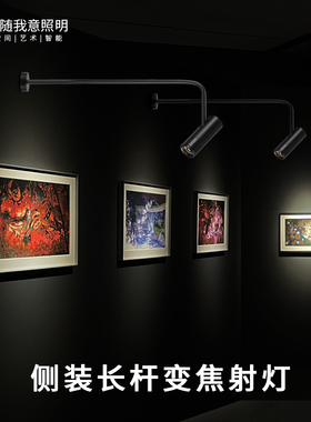 墙壁装灯长杆射灯变焦LED轨道照画灯调光展厅照画博物馆明装射灯
