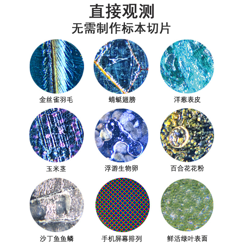 儿童便携式电子手机达尔文显微镜生物120倍高清高倍玩具中小学生