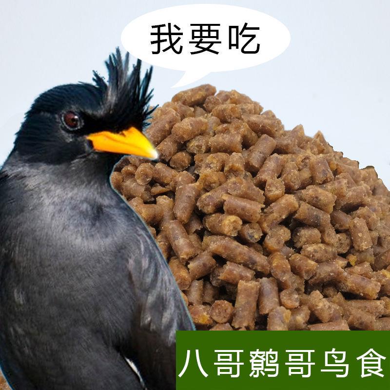 央科鹩哥鸟食八哥饲料营养画眉鸟专用鹩哥饲料5斤亮毛肥膘