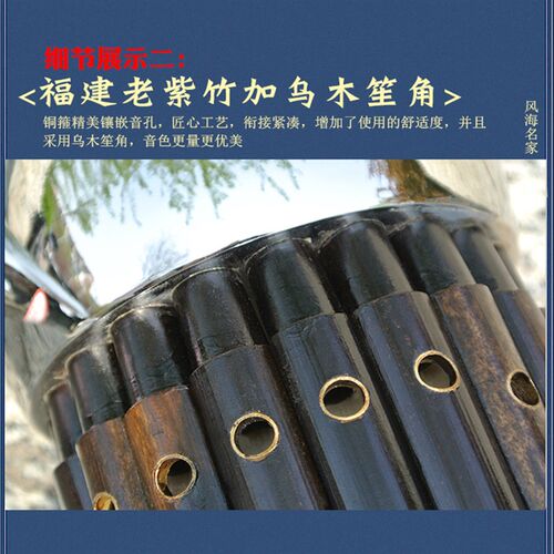 笙乐器专业17簧圆笙民间红白喜事降b调成人儿童初学入门D调