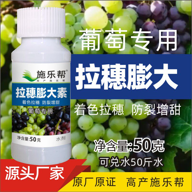 葡萄拉穗膨大素坐果增甜着色巨峰夏黑阳光玫瑰拉穗保花果防裂素