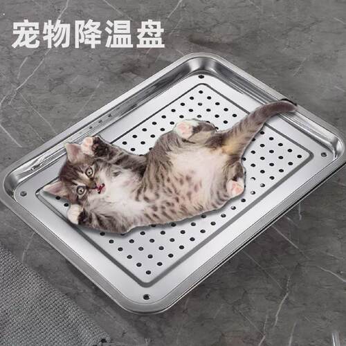 不锈钢猫窝宠物降温神器304不锈钢猫窝凉窝冰盘兔子清凉窝中小型