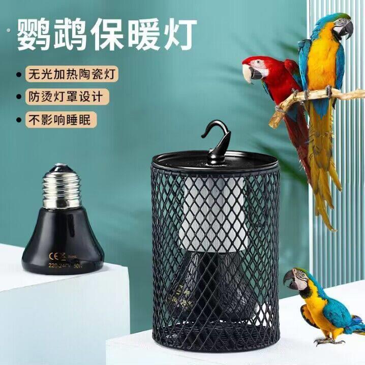 鹦鹉保温灯加热取暖灯鸟笼保温灯仓鼠芦丁鸡玄凤防咬发热陶瓷灯