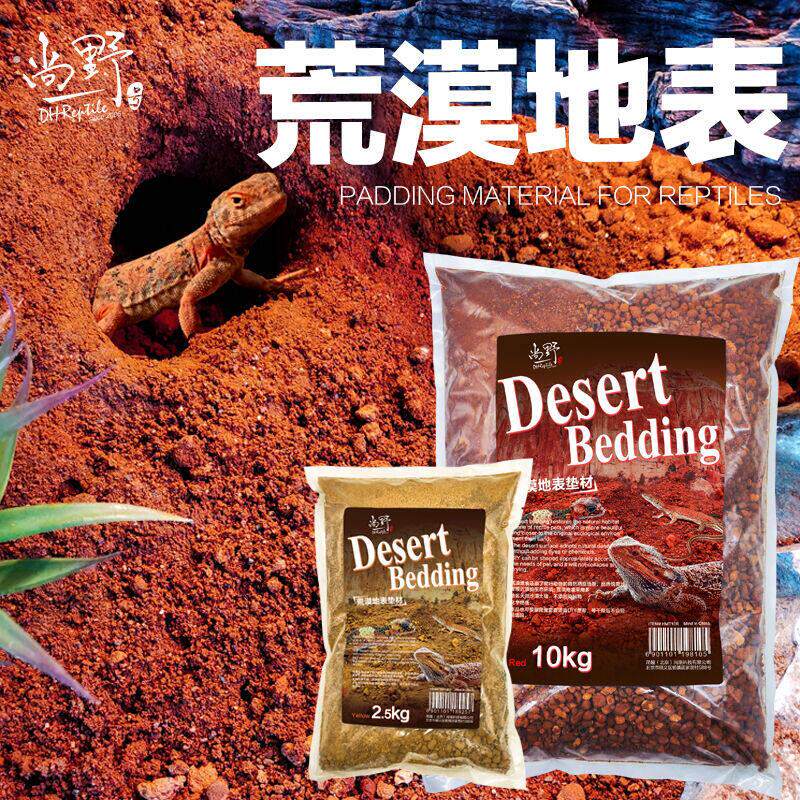 荒漠地表沙鬃狮蜥蜥蜴瘤尾豹纹守宫陆龟沙漠造景黏土洞穴