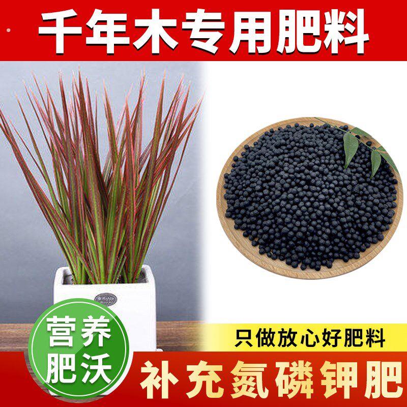 千年木专用肥料家庭盆栽千年木肥料五彩七彩铁有机复合颗粒缓释肥