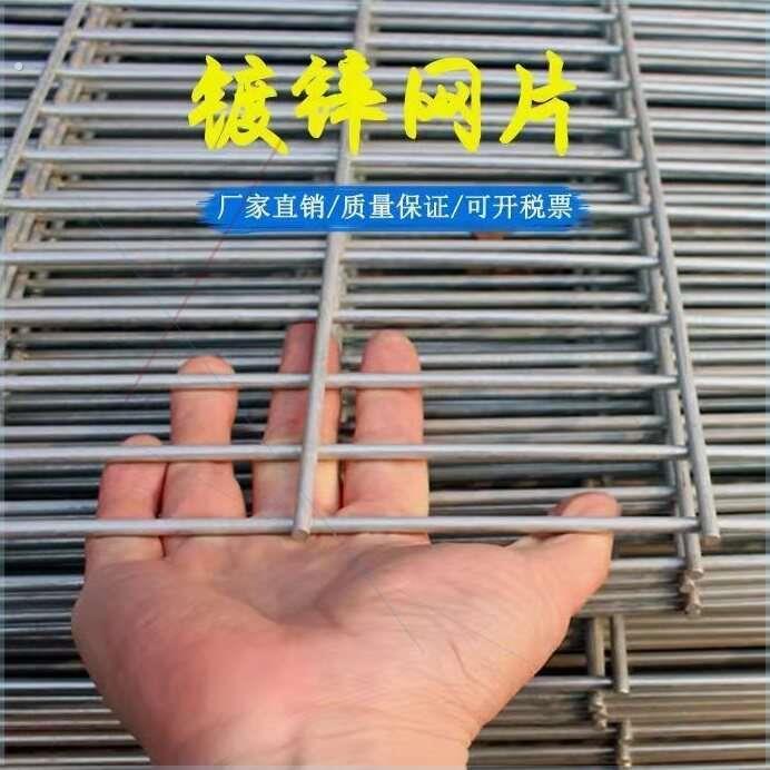 铁丝网围栏热镀锌电焊铁丝网格网长方形加粗建筑网片鸽舍狗笼家用