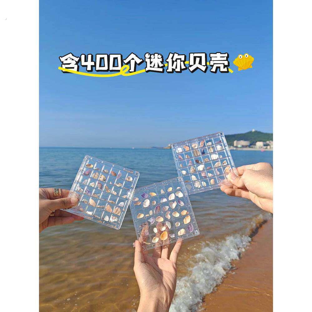 海螺壳丙烯酸透明储存盒海边展示标本收集创意精美可访问的豪华相