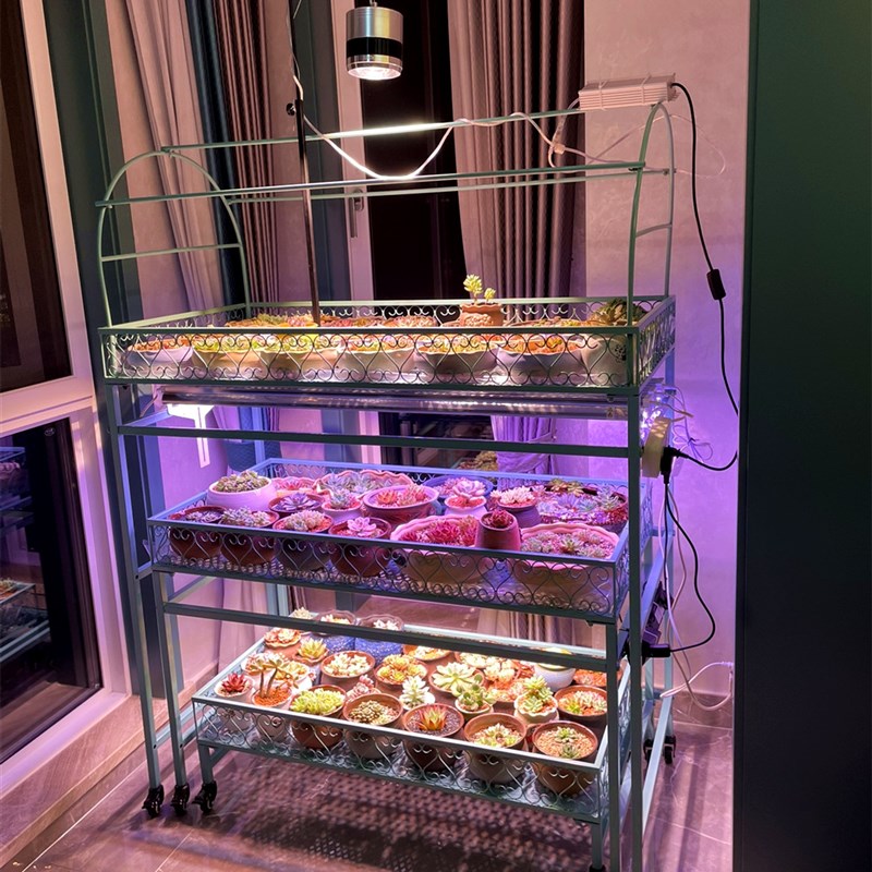 【花含烟】阳台多肉花架室外铁艺带轮移动防雨遮阳室内多层落地