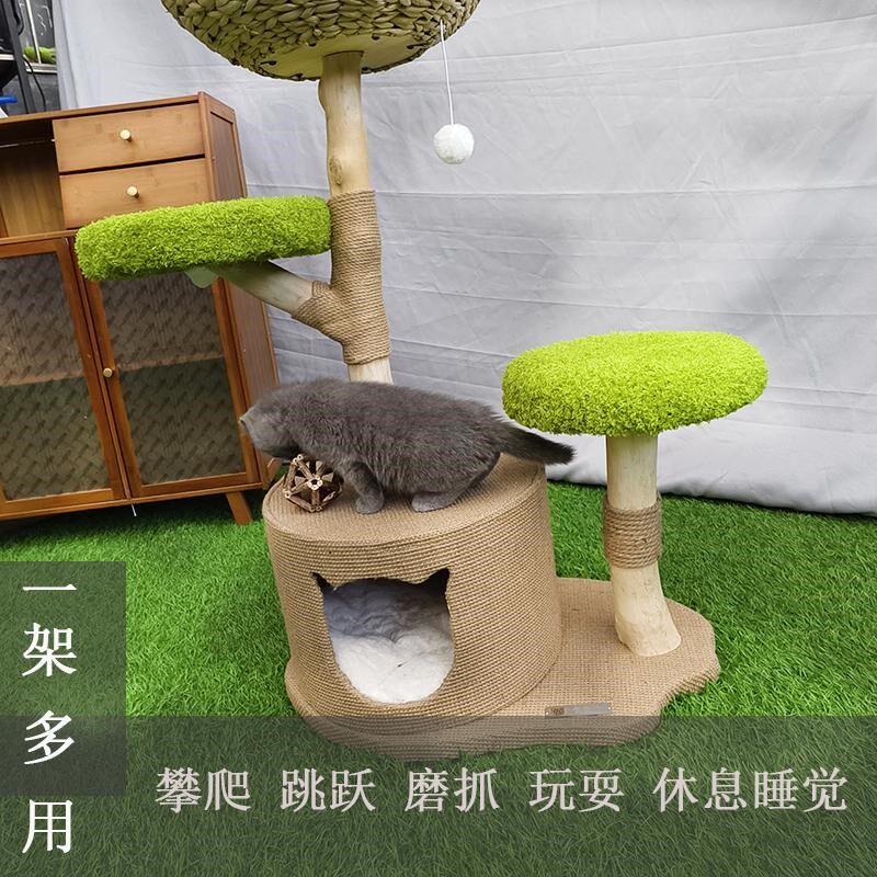 果木猫爬架实木猫窝猫树宠物猫窝蒲草一体树干夏天小型剑麻不占地