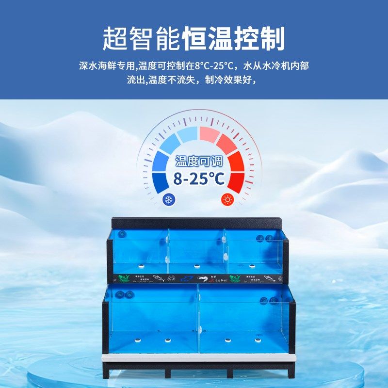 定制移动商超专用海鲜池恒温鱼缸双层大容量水产鱼池养殖制冷一体