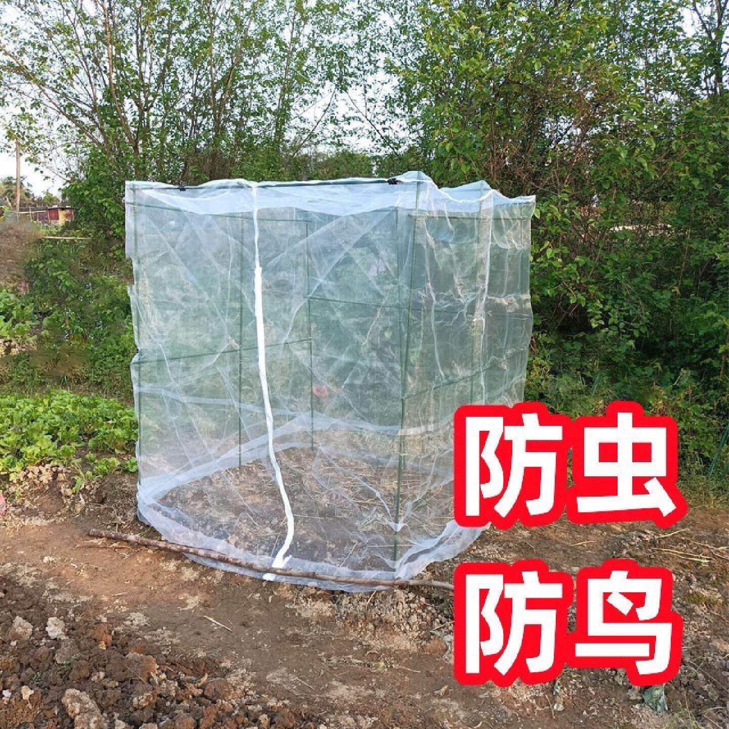 农用蚊帐型防虫网种菜专用网蔬菜防虫网纱网菜地防鸟罩植物大棚