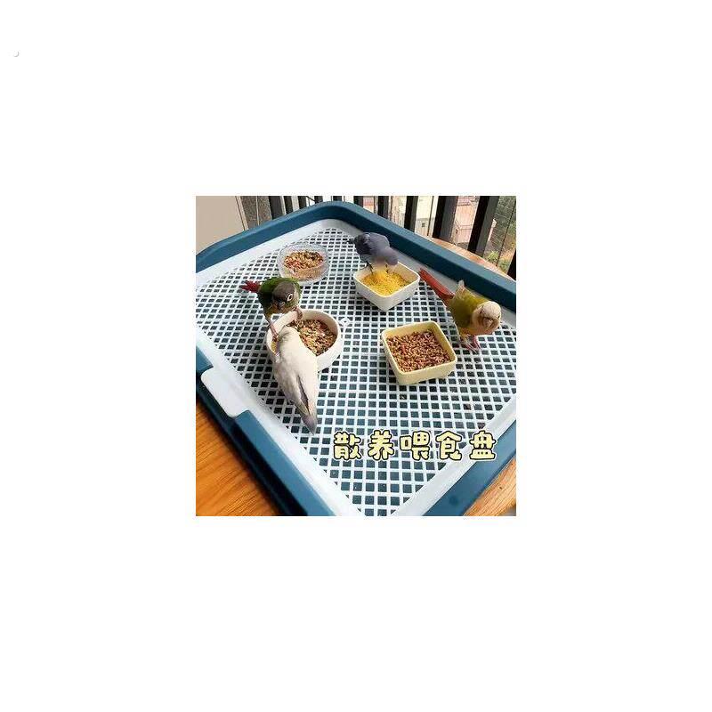 鹦鹉食盆大号谷壳分离喂鸟神器玄风小太阳防打翻防飞溅鸟粮喂食盘
