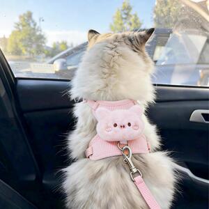 可爱小猪猫咪牵引绳防挣脱外出专用防走丢工字抱婴袋不勒脖遛狗神