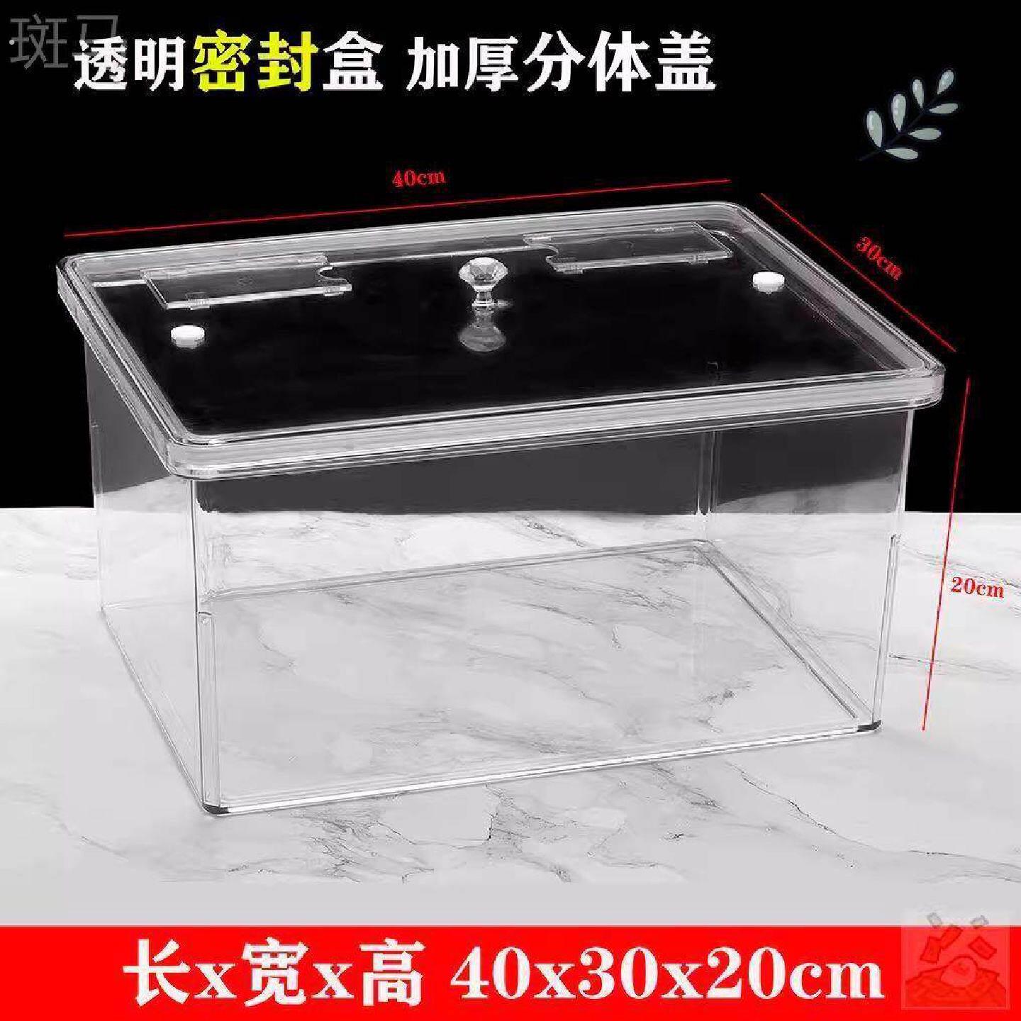 泡凤梨专用缸装卖盐水凤梨的罐子摆摊容器塑料超市货架陈列展示盒