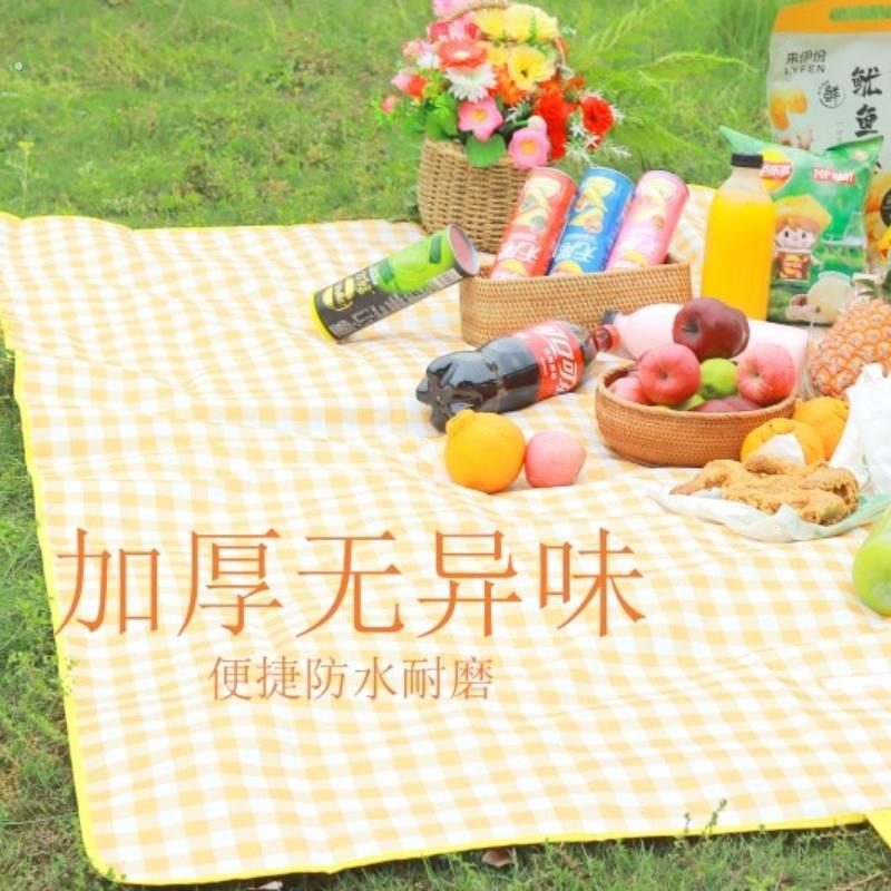 野餐垫加厚防潮露营聚餐郊外野炊坐垫沙滩防水垫子户外便携野餐布