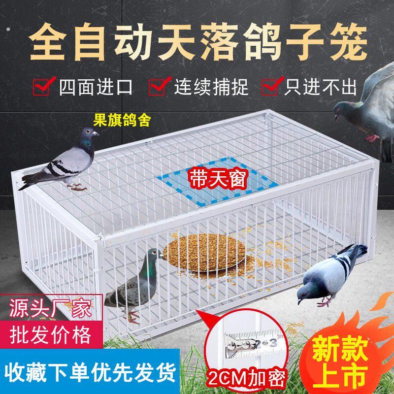 户外加密鸽子天落笼全自动防锈只进不出收鸽笼撞门笼鸽子回收神器