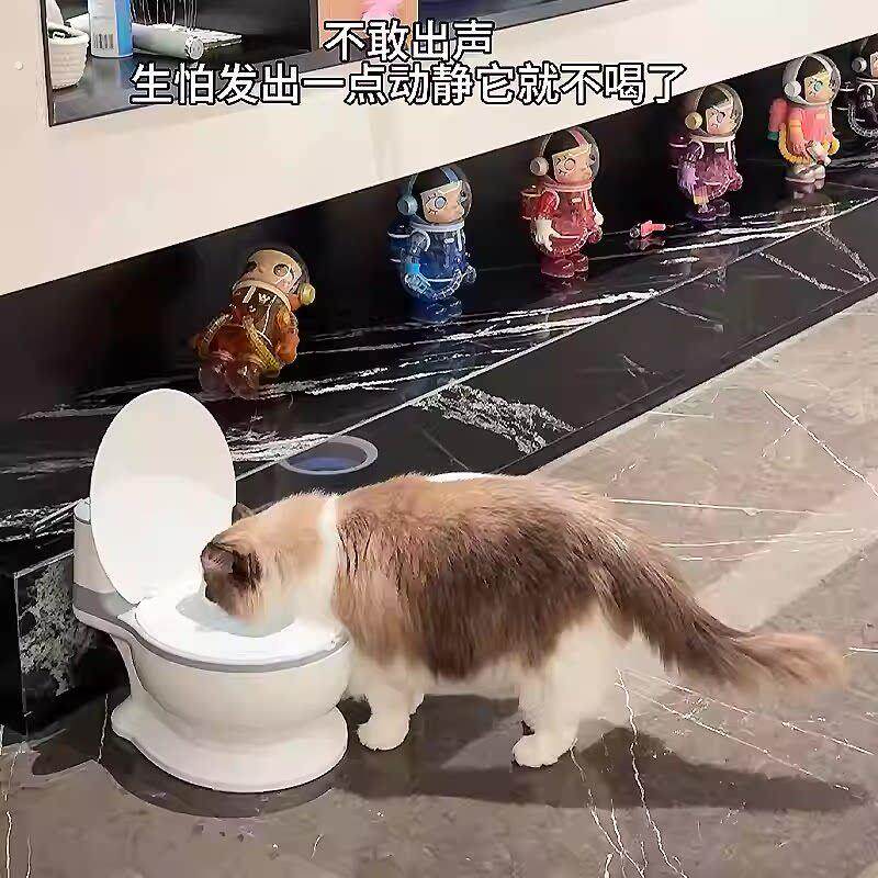 猫咪马桶饮水机宠物喝水碗狗狗用盆大口径不易打翻大容量创意神器