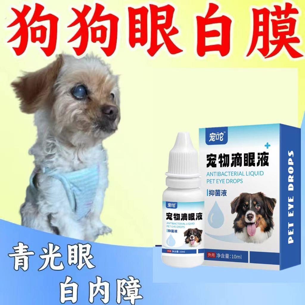 狗狗眼白膜】宠物眼混浊滴眼液猫狗通用去泪痕眼屎多老流泪护眼液