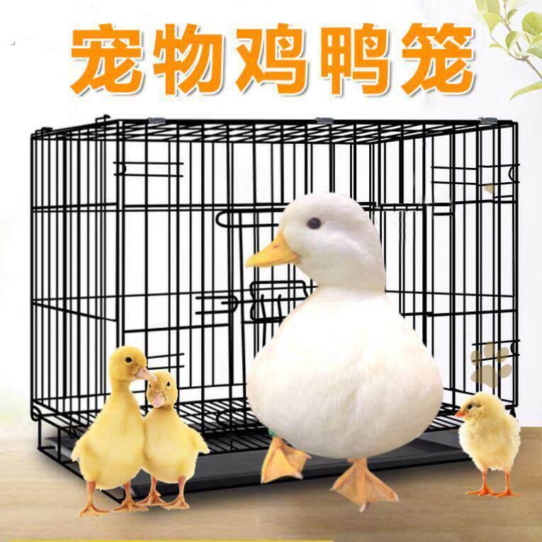 养小鸡笼家用养鸡笼加密防鼠育雏笼养殖小鸭小鹅通用大容量宠物笼