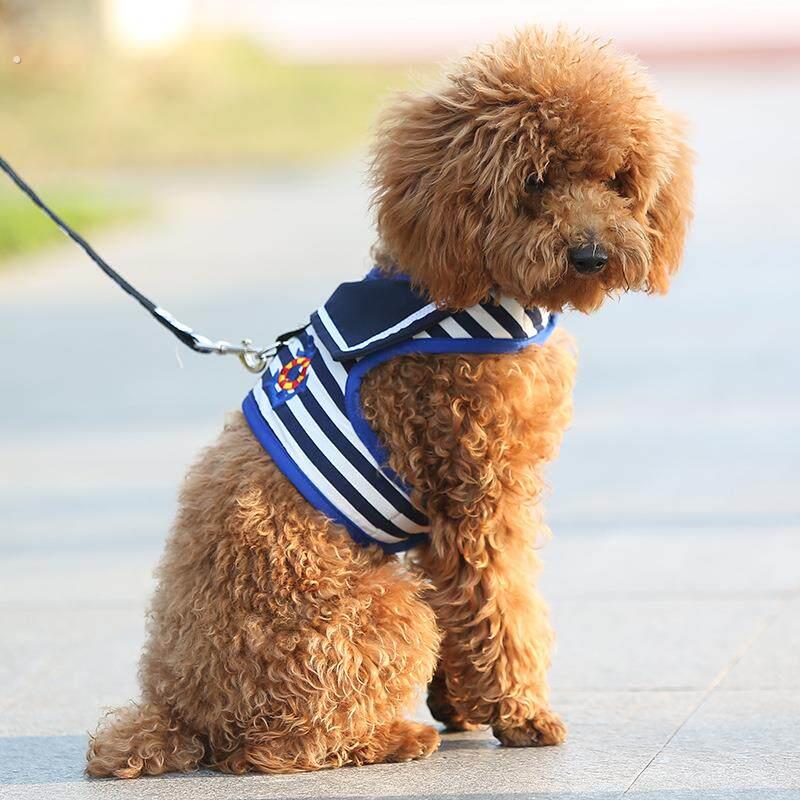 宠物用品狗胸背带牵引绳狗链子泰迪小型犬遛狗绳子贵宾胸背带套装