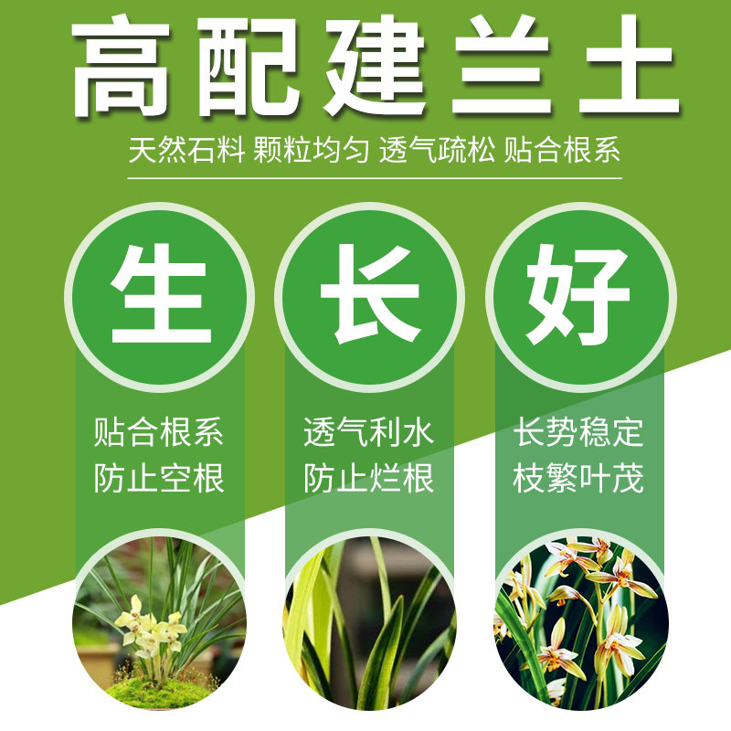 建兰专用土剑兰专用营养土专用肥料养兰花盆栽种植专用植料松树皮