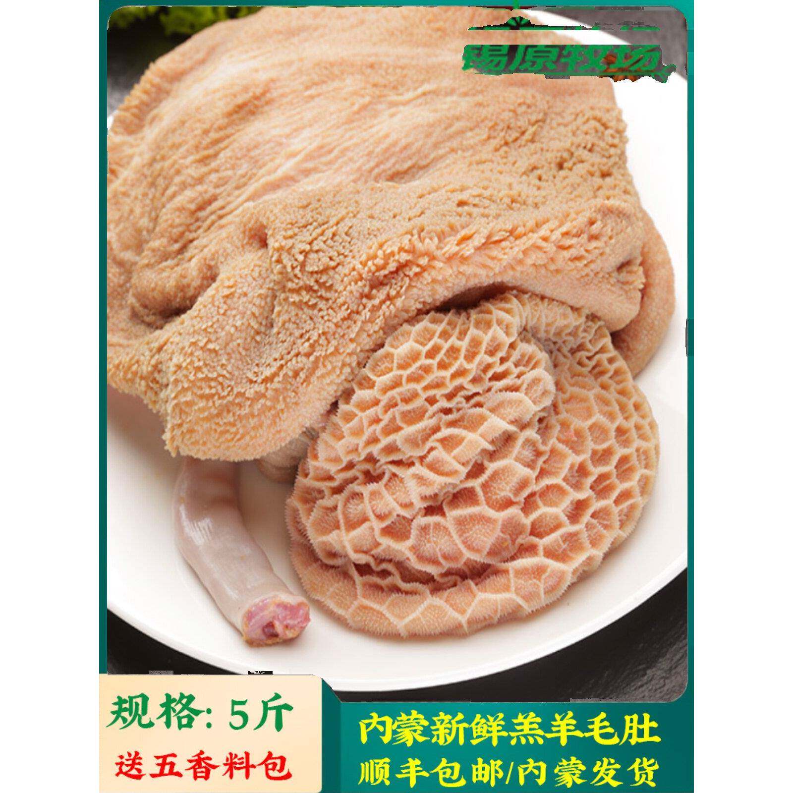 锡原牧场 羊肚内蒙羊肉新鲜羊肚子羊杂汤杂碎生羊肚丝黄金肚5斤