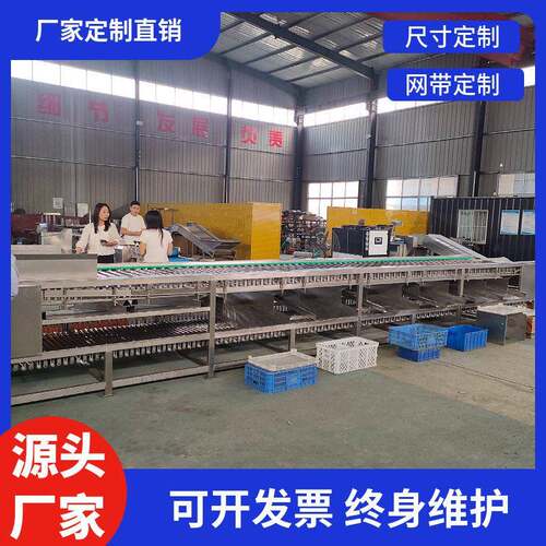 自转式滚杠分拣樱桃土豆分级机链条输送带柑橘分选机滚杠式网带