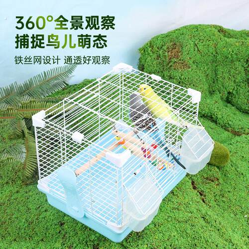 鹦鹉外出笼手提便携外带鸟笼虎皮玄凤牡丹专用小号户外笼遛鸟