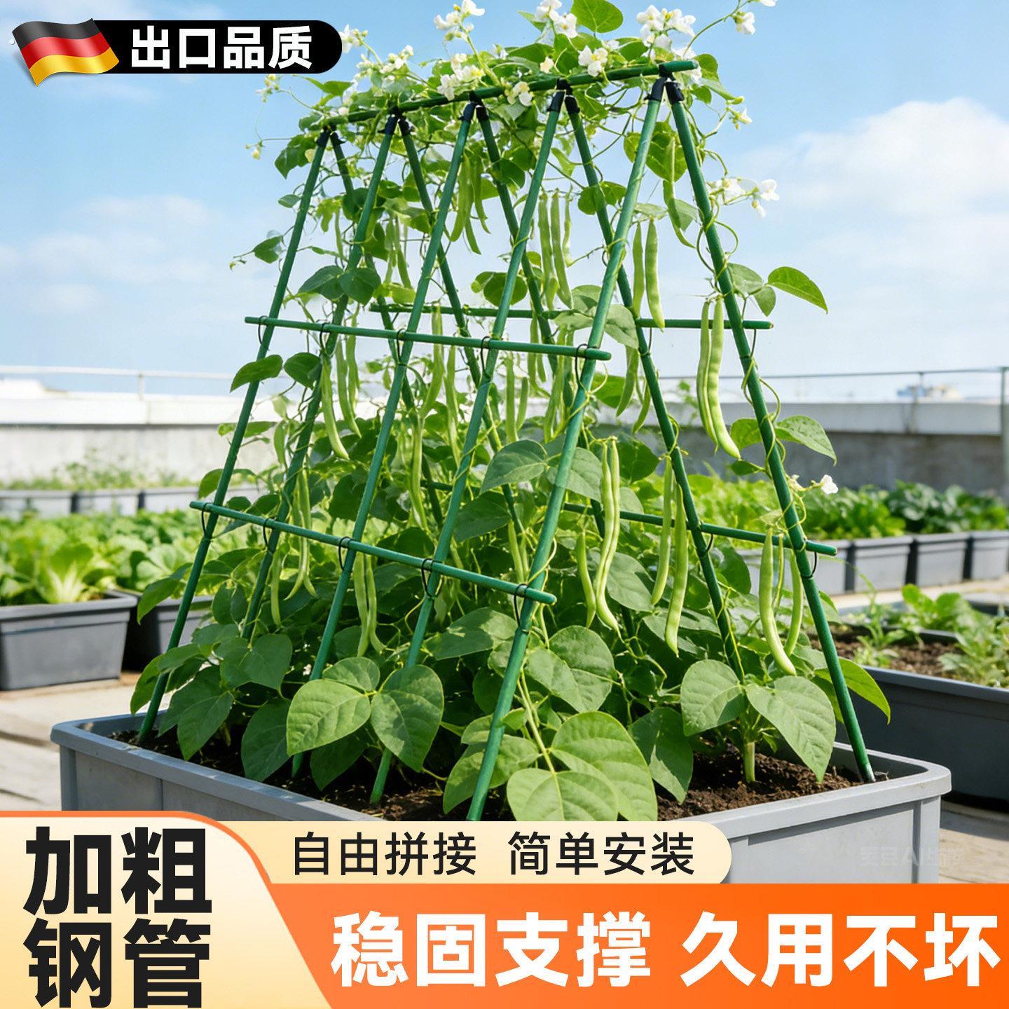 豆角架杆黄瓜爬藤架楼顶种菜架子丝瓜搭棚支撑架葡萄架子庭院户外