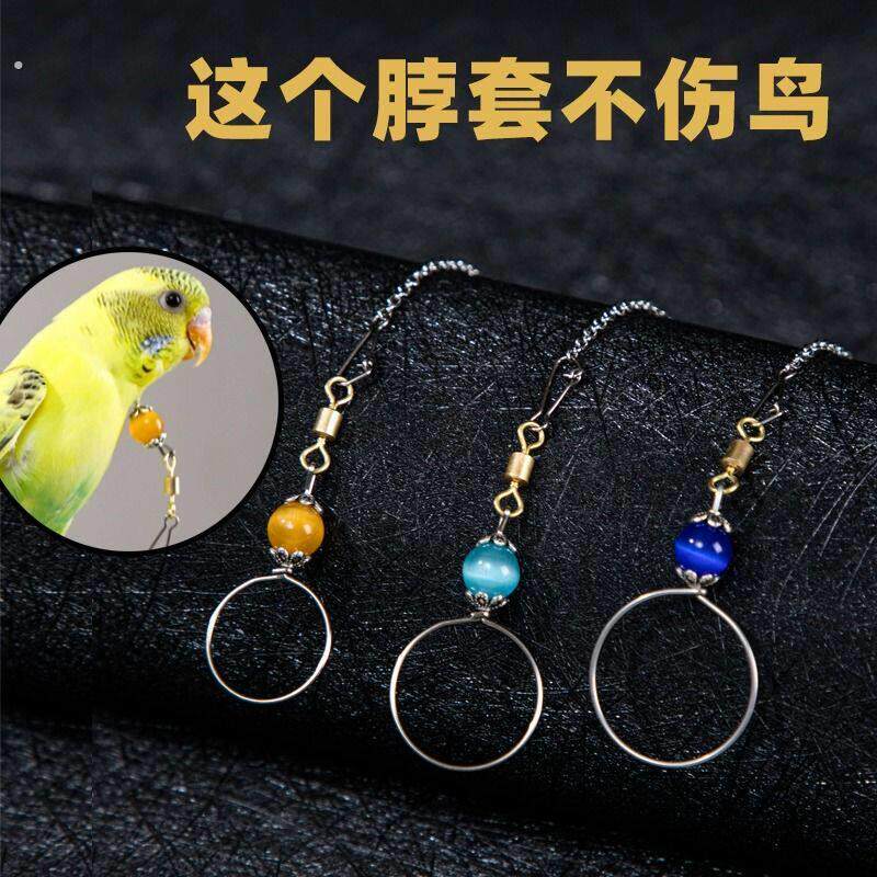 鹦鹉脖套超轻放飞绳鸟用虎皮小太阳牡丹玄凤鹦鹉脖圈不锈钢鸟链子