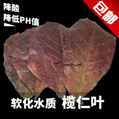 榄仁叶懒人叶斗鱼水族降低ph值鱼缸改善水质降酸天然龙眼叶揽仁叶