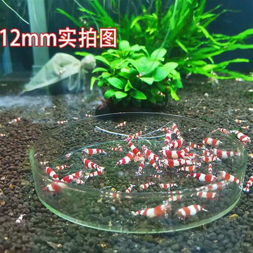 水晶虾喂食盘 观赏虾喂食盆 玻璃鱼缸宠物爬宠投食饲料盆 虾粮盘