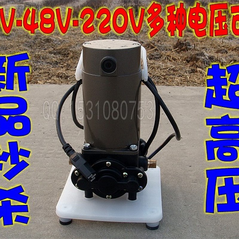 12V48V220V小型高压洗车机/大功率直流喷雾电动清洗机自吸水泵
