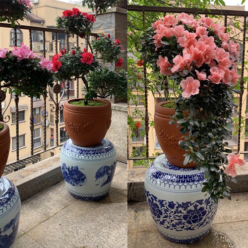 中式家居凳子陶瓷鼓凳景德镇青花瓷器坐墩矮凳换鞋凳瓷墩凉墩浴凳
