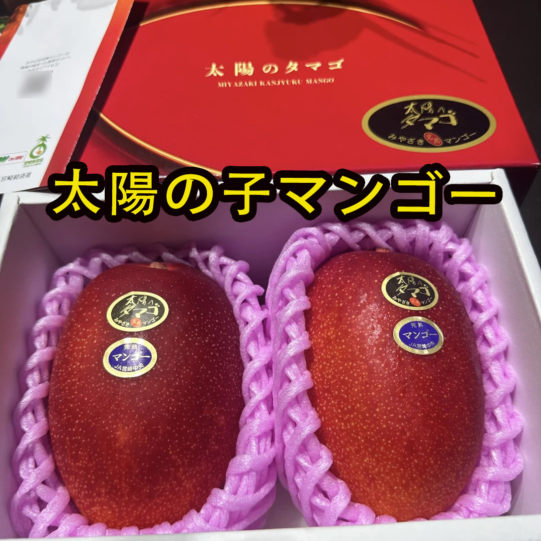 宫崎芒果 编码溯源 自然成熟超甜 完熟无纤维入口即化