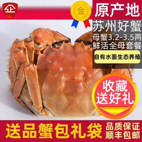 活蟹8只苏州大闸蟹阳澄鲜活大螃蟹全母蟹3.2-3.5两中秋大蟹礼盒装