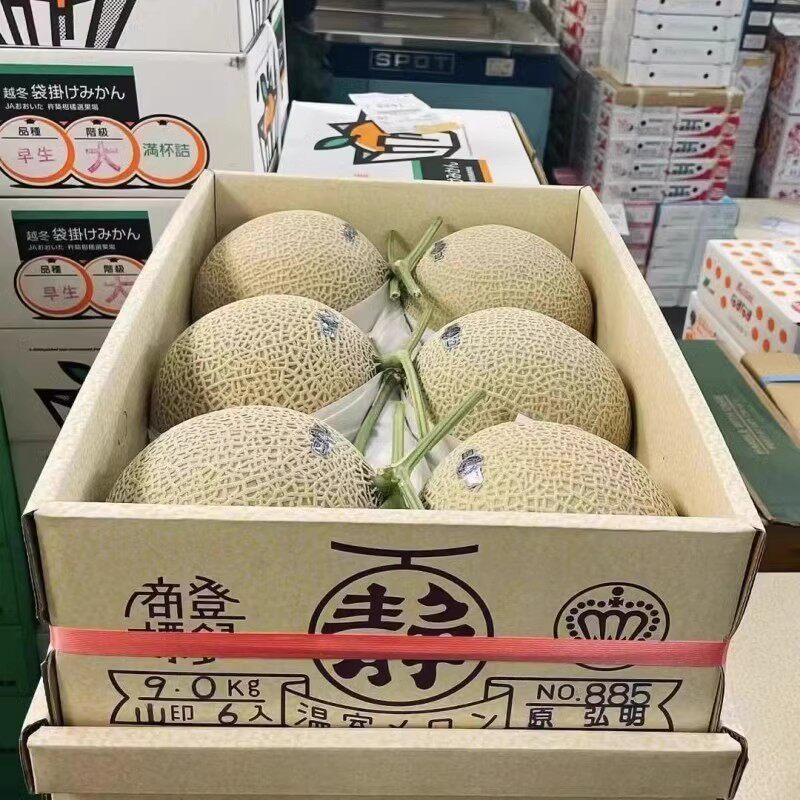 高端日本引进品种静冈网纹蜜瓜原箱6颗哈蜜瓜软糯香甜多汁T字瓜