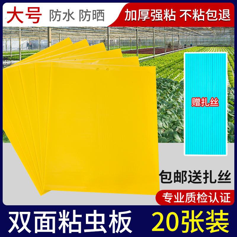 黄板双面粘虫板粘虫纸贴黄蓝飞虫小黑飞果园沾果蝇诱捕器粘板大棚