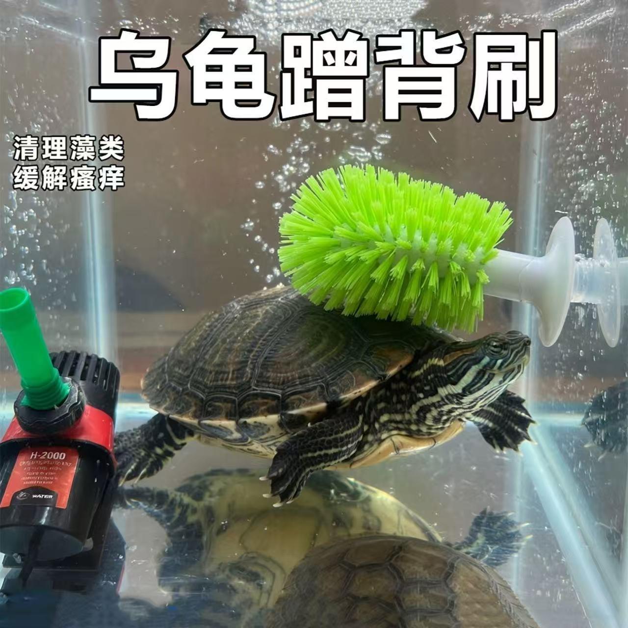 乌龟刷背刷刷背吸盘式洗碗刷洗澡蹭背刷子爬宠多功能清洁刷子