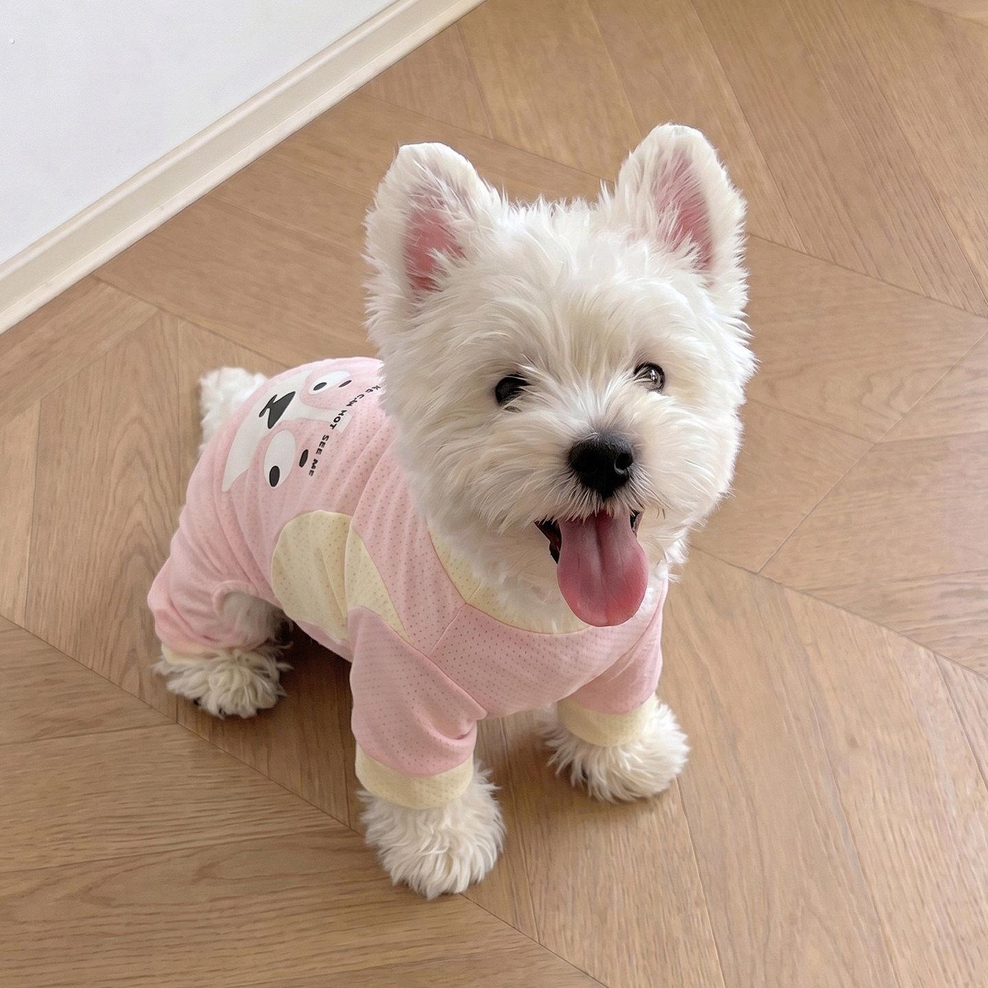 小狗狗衣服夏季薄款猫咪小型犬四脚衣防掉毛冰丝宠物凉凉衣可牵引