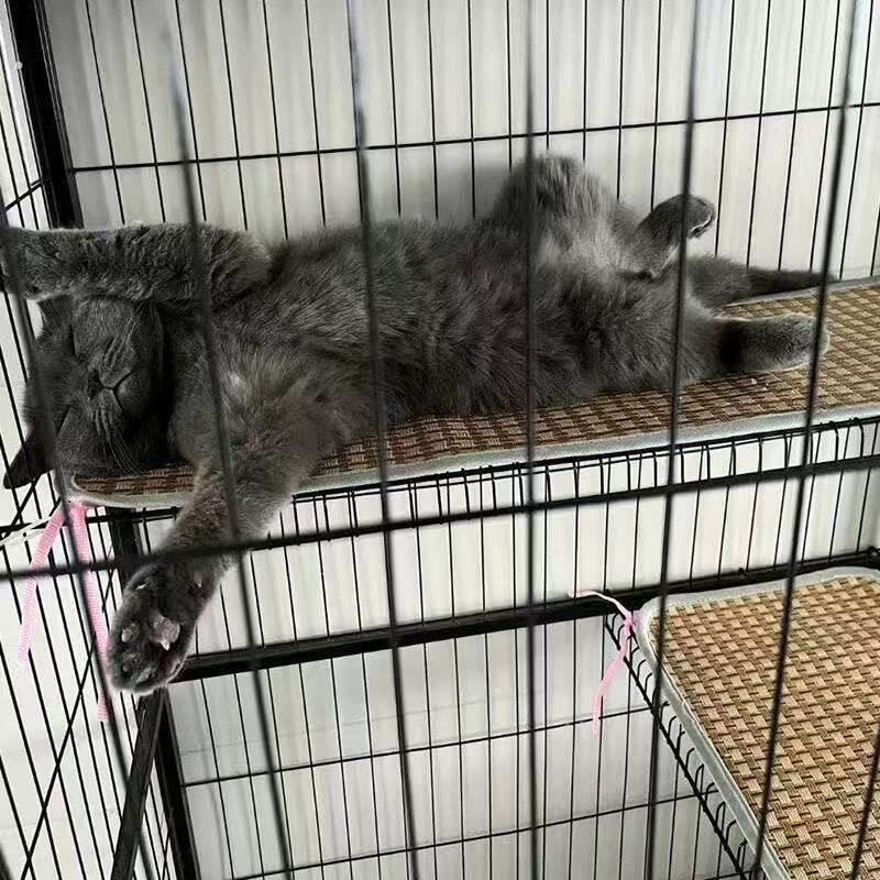 小狗凉席宠物藤席垫猫笼专属平台垫夏天狗狗猫咪消暑垫猫咪垫猫咪