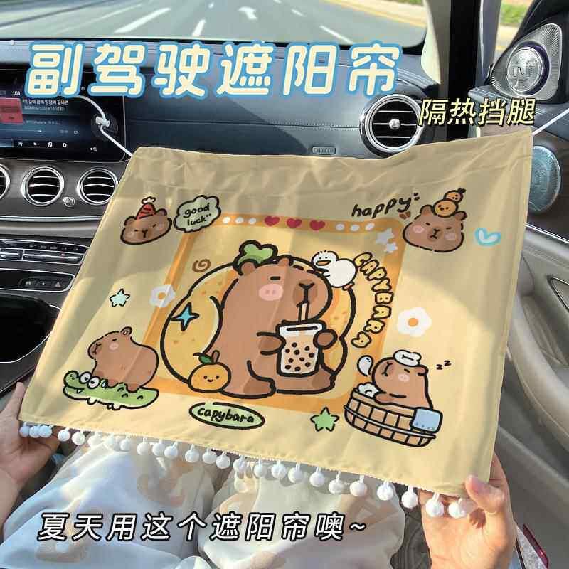 【车载好物】汽车吸盘式遮阳帘车内防晒遮光帘挡腿隐私车载隔热窗