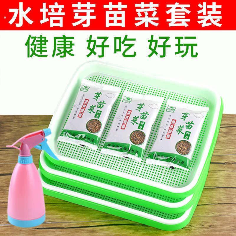 豆芽发芽盆神器水培蔬菜无土栽培豌豆芽苗菜种植设备家用育苗托盘